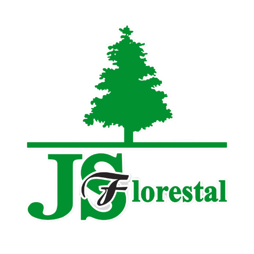 JSF Florestal