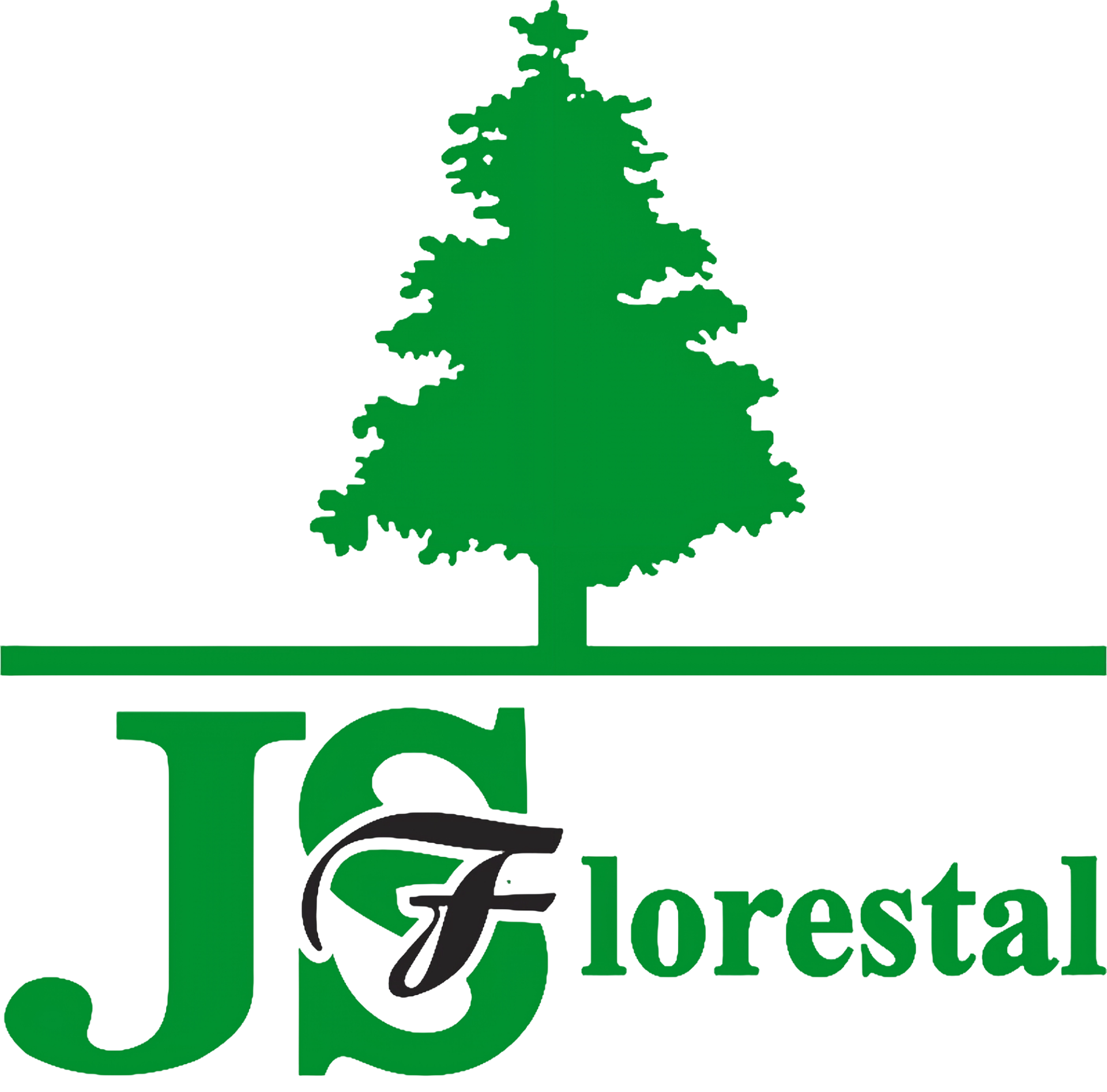 JSF Logo